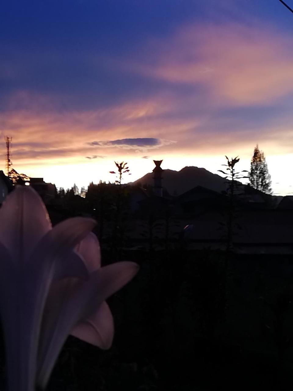 Smiley's Homestay Berastagi Dış mekan fotoğraf